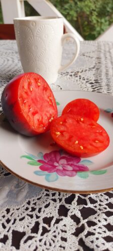 Сержант Пеппер бронза (Sgt.Pepper`s Bronza) photo review