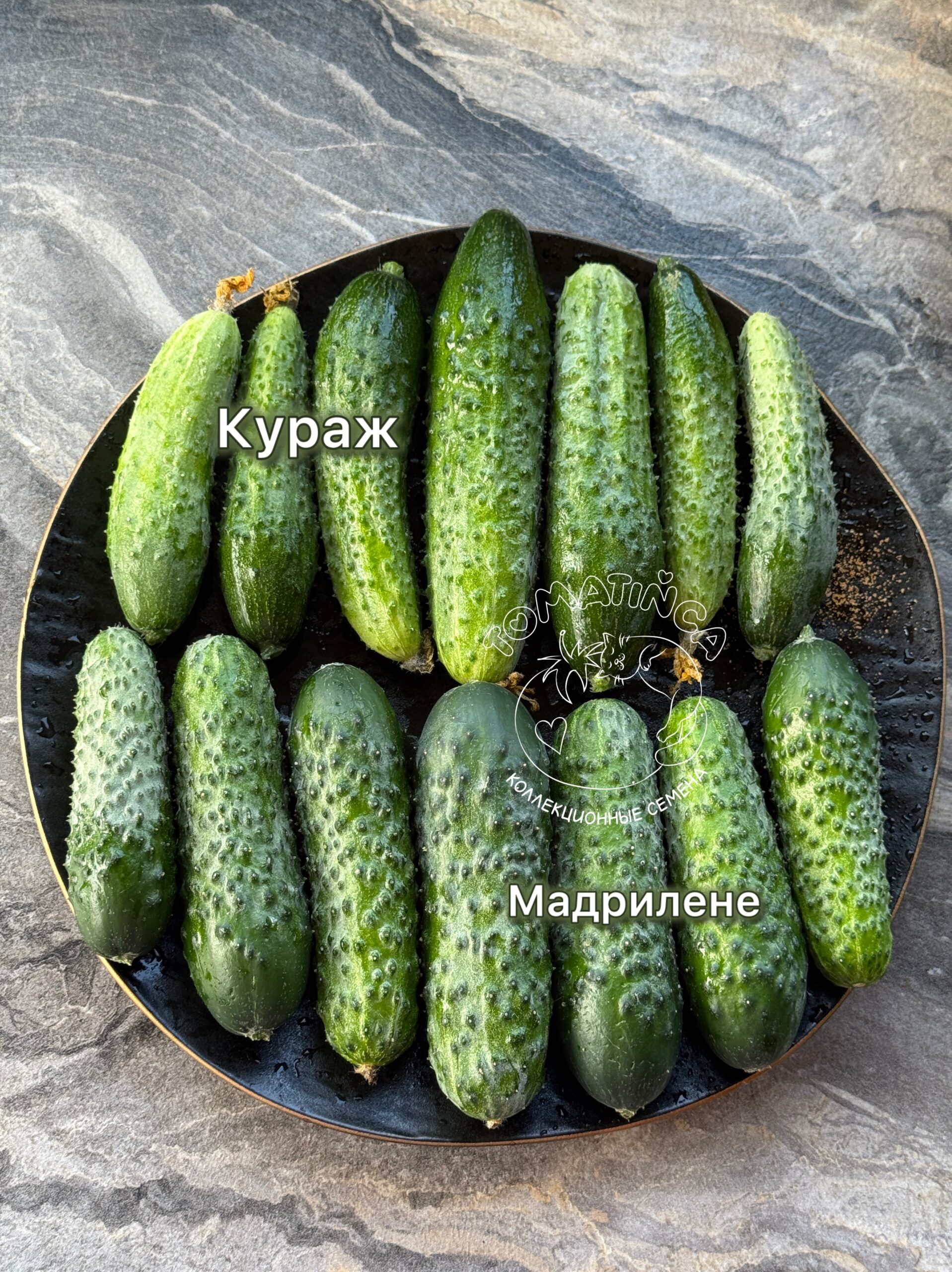photo-output