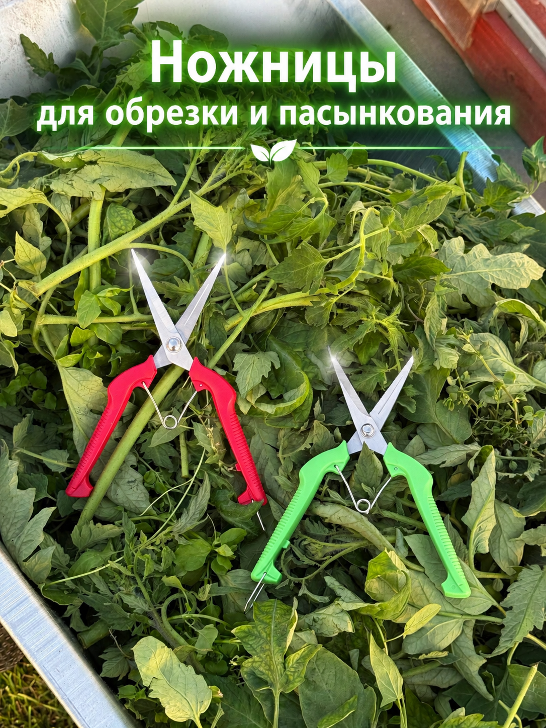Ножницы для обрезки и пасынкования