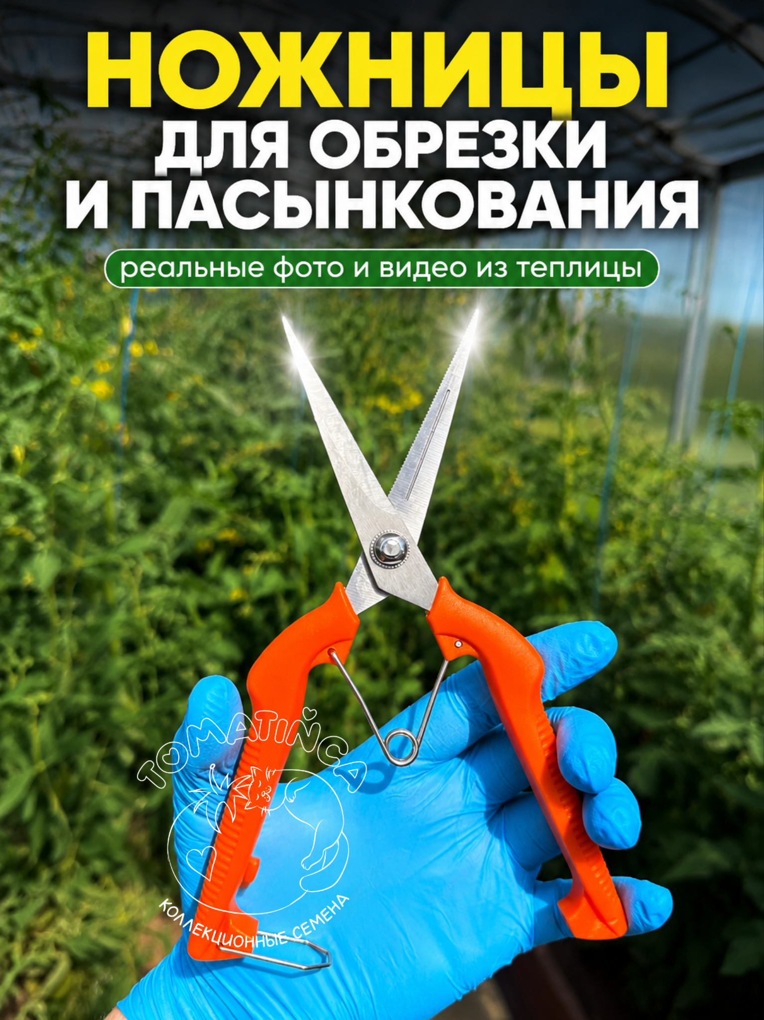 photo-output