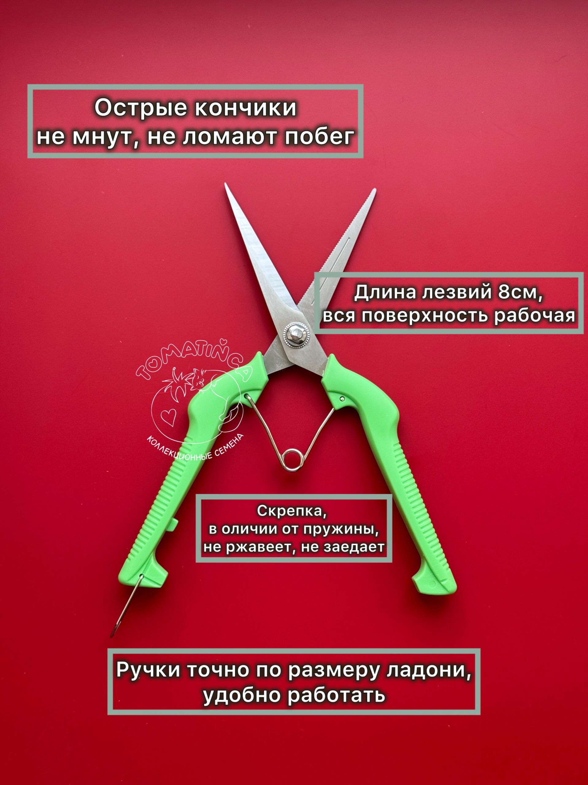 photo-output