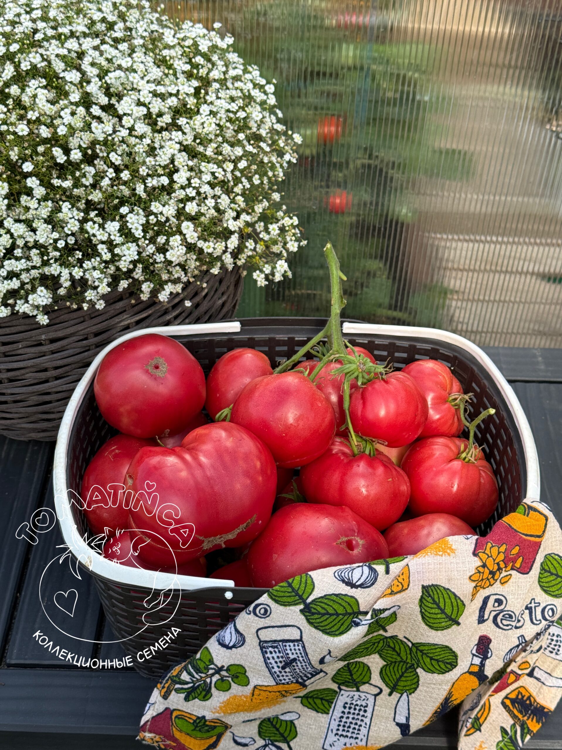 photo-output